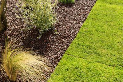 The Blue Tide - Agrandir l'image 3 sur 13, fenêtre modale