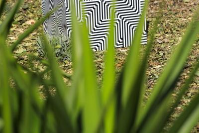 Vertigineuses Clés de Sol - Agrandir l'image 5 sur 10, fenêtre modale