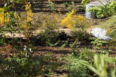 Vertigineuses Clés de Sol - Agrandir l'image 8 sur 10, fenêtre modale