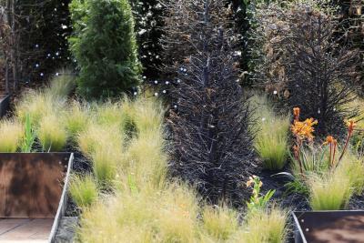 Fire - Agrandir l'image 2 sur 12, fenêtre modale