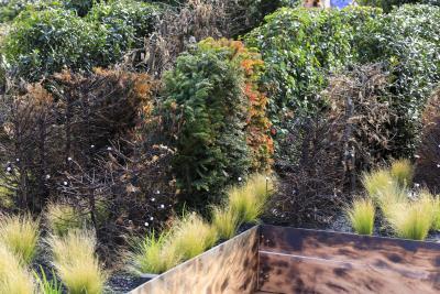 Fire - Agrandir l'image 3 sur 12, fenêtre modale