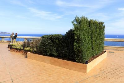 Fire - Agrandir l'image 4 sur 12, fenêtre modale