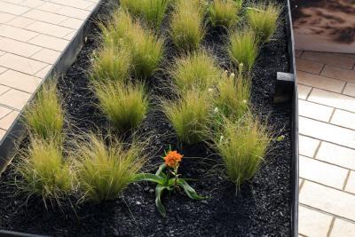 Fire - Agrandir l'image 9 sur 12, fenêtre modale