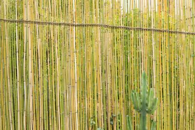 Entre-là - Agrandir l'image 3 sur 14, fenêtre modale