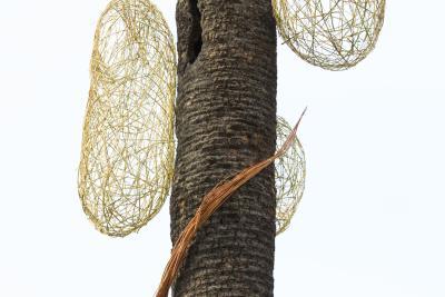 Entre-là - Agrandir l'image 4 sur 14, fenêtre modale