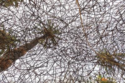 Entre-là - Agrandir l'image 14 sur 14, fenêtre modale