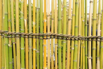 Entre-là - Agrandir l'image 11 sur 14, fenêtre modale