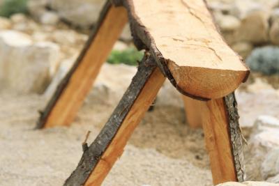 Perspectives d'avenir - Agrandir l'image 8 sur 12, fenêtre modale