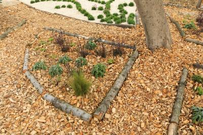 Perspectives d'avenir - Agrandir l'image 4 sur 12, fenêtre modale