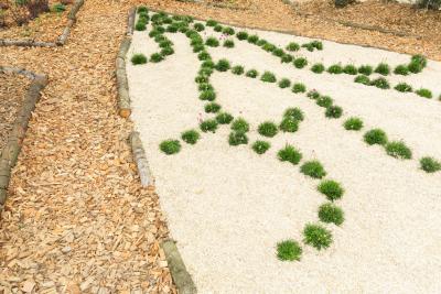 Perspective d’avenir : Effervescence et réminiscence d'un jardin classique - Agrandir l'image 11 sur 12, fenêtre modale