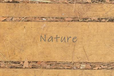 REN&SENS - Agrandir l'image 10 sur 13, fenêtre modale