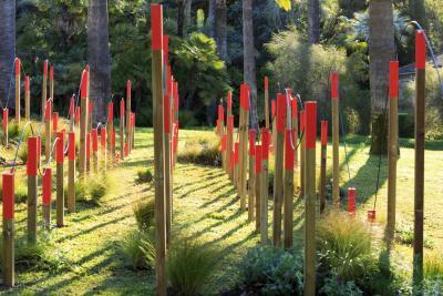 Dernières Vendanges - Agrandir l'image 3 sur 12, fenêtre modale