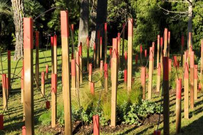 Dernières Vendanges - Agrandir l'image 4 sur 12, fenêtre modale