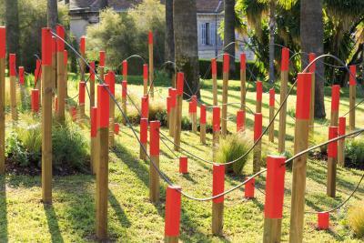 Dernières Vendanges - Agrandir l'image 1 sur 12, fenêtre modale