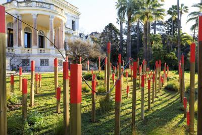 Dernières Vendanges - Agrandir l'image 7 sur 12, fenêtre modale
