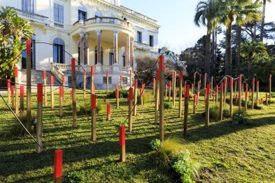 Dernières Vendanges - Agrandir l'image 8 sur 12, fenêtre modale