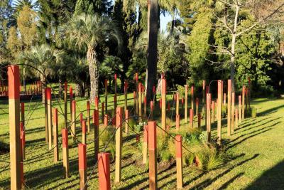 Dernières Vendanges - Agrandir l'image 10 sur 12, fenêtre modale