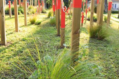 Dernières Vendanges - Agrandir l'image 12 sur 12, fenêtre modale