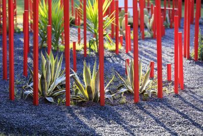 Red Forest - Agrandir l'image 6 sur 11, fenêtre modale