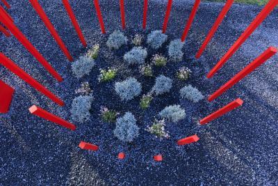 Red Forest - Agrandir l'image 11 sur 11, fenêtre modale