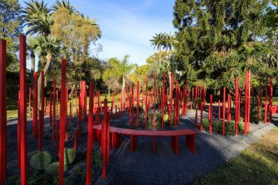 Red Forest - Agrandir l'image 3 sur 11, fenêtre modale