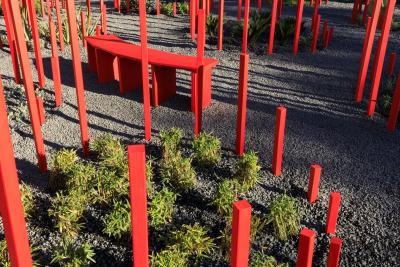 Red Forest - Agrandir l'image 5 sur 11, fenêtre modale