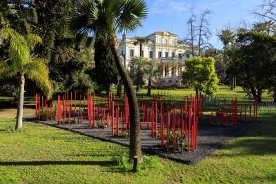 Red Forest - Agrandir l'image 4 sur 11, fenêtre modale