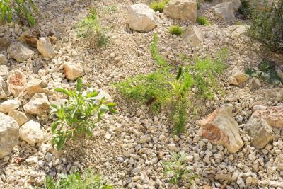 La voie Héracléenne - Agrandir l'image 5 sur 12, fenêtre modale