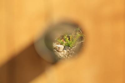 Longue vue - Agrandir l'image 6 sur 11, fenêtre modale