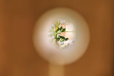 Longue vue - Agrandir l'image 8 sur 11, fenêtre modale