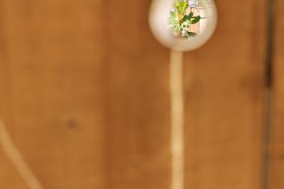 Longue vue - Agrandir l'image 10 sur 11, fenêtre modale