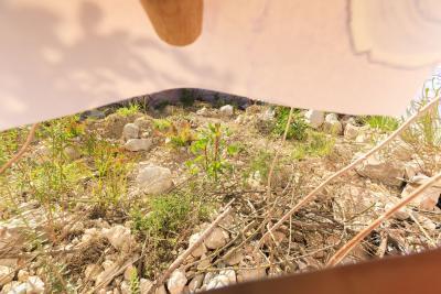 Longue vue - Agrandir l'image 11 sur 11, fenêtre modale