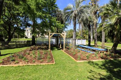 Folie Folia - Agrandir l'image 1 sur 5, fenêtre modale