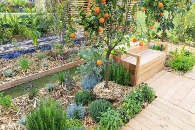 Le jardin de l'Orientaliste - Agrandir l'image 5 sur 8, fenêtre modale