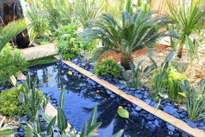 Le jardin de l'Orientaliste - Agrandir l'image 6 sur 8, fenêtre modale