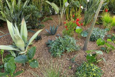 Rendez-vous chez l’artiste - Agrandir l'image 5 sur 9, fenêtre modale