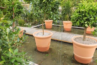 Rendez-vous chez l’artiste - Agrandir l'image 1 sur 9, fenêtre modale