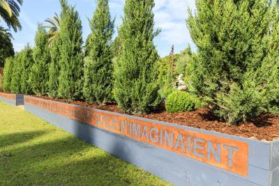 Where the plants tell the tales - Agrandir l'image 7 sur 9, fenêtre modale