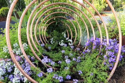 Where the plants tell the tales - Agrandir l'image 6 sur 9, fenêtre modale