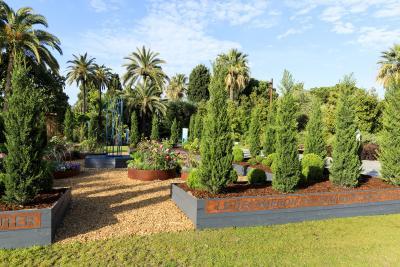 Where the plants tell the tales - Agrandir l'image 8 sur 9, fenêtre modale