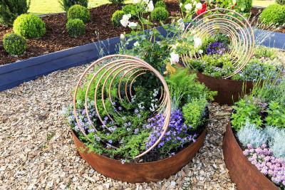 Where the plants tell the tales - Agrandir l'image 2 sur 9, fenêtre modale