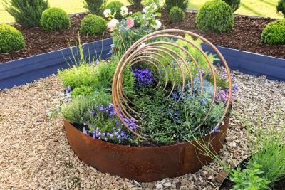 Where the plants tell the tales - Agrandir l'image 3 sur 9, fenêtre modale