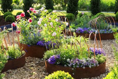 Where the plants tell the tales - Agrandir l'image 4 sur 9, fenêtre modale