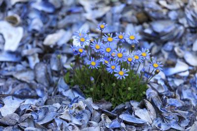 Terra Mediaqua - Agrandir l'image 2 sur 2, fenêtre modale