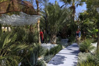 Graines Voyageuses - Agrandir l'image 1 sur 2, fenêtre modale