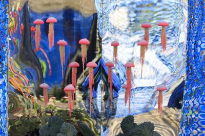 Le petit Prince - Agrandir l'image 2 sur 2, fenêtre modale