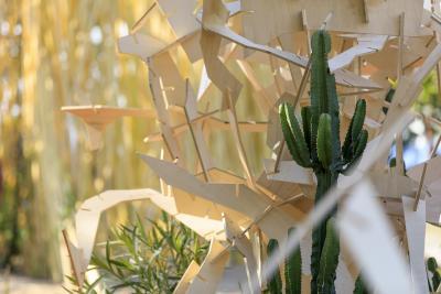 Résilience d'Été - Agrandir l'image 2 sur 2, fenêtre modale