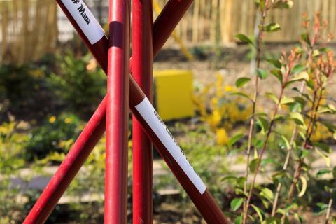 Vertigineuses Clés de Sol