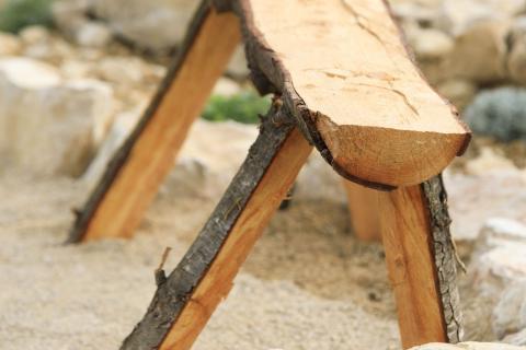 Perspectives d'avenir