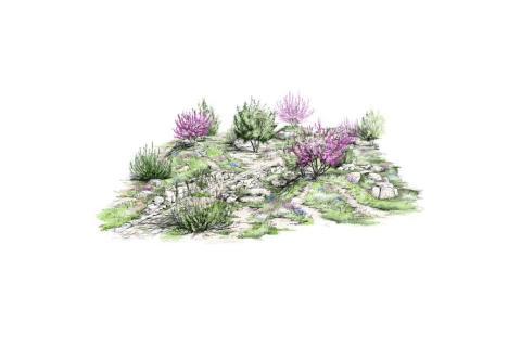 La voie Héracléenne